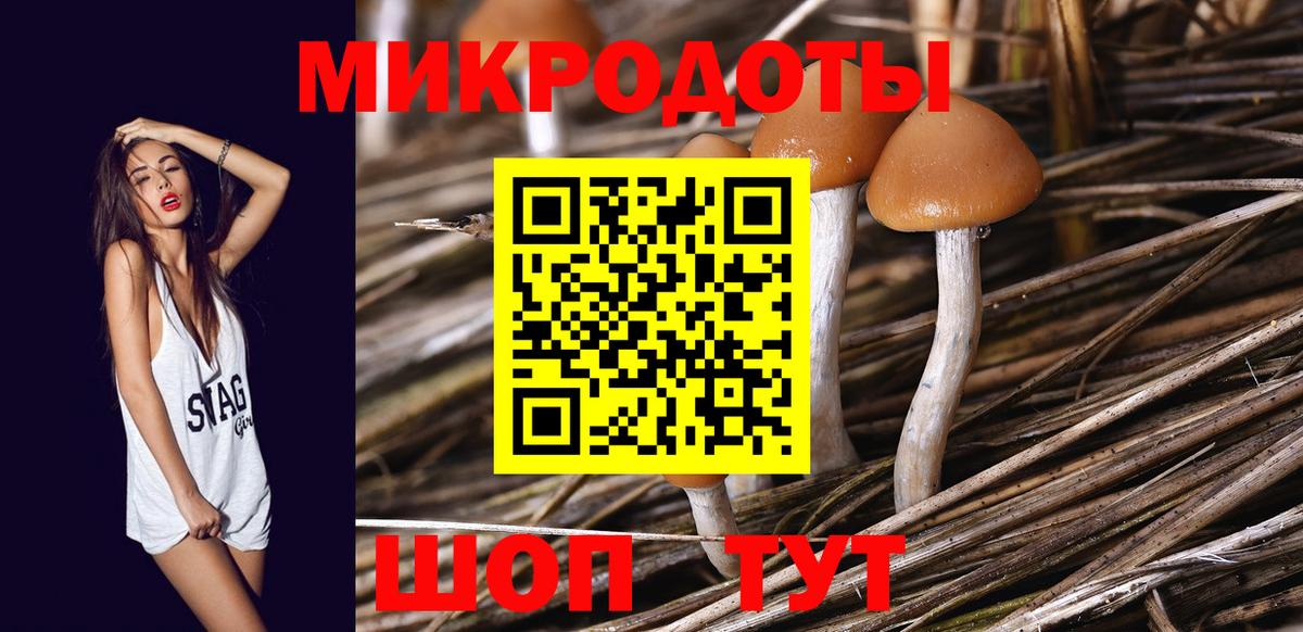 Псилоцибиновые грибы мухоморы Джанкой