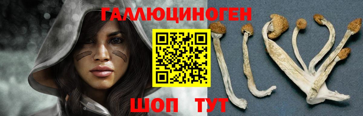 Галлюциногенные грибы MAGIC MUSHROOMS  дарнет шоп  Джанкой  Вход с VPN 